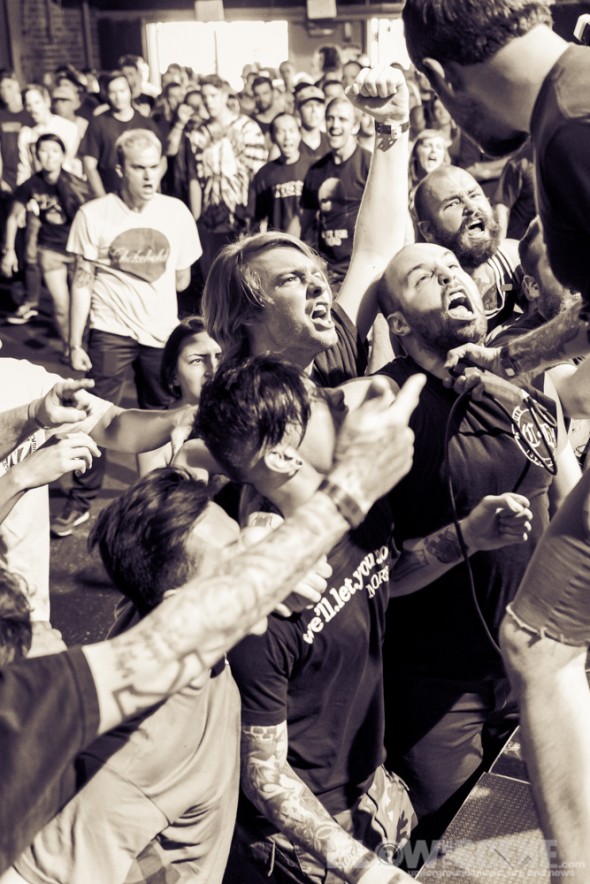 TIHC-Culture