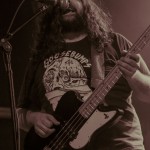 American-Sharks-band-026