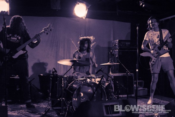 American-Sharks-band-021