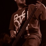 Bore-Worm-band-003