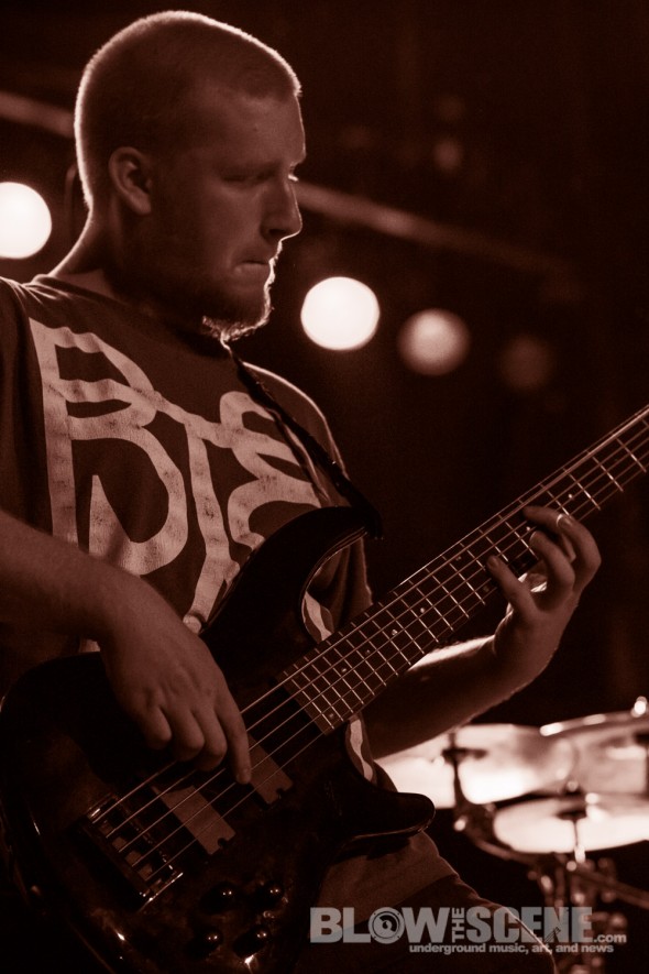 Bore-Worm-band-008