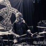 Vektor - band