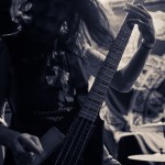 Vektor - band