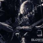Vektor-band-006