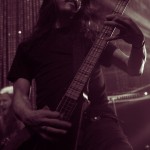Vektor-band-047