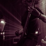 Vektor-band-049