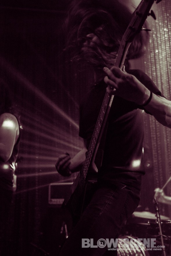 Vektor-band-049
