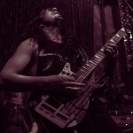 Vektor-band-061