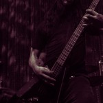 Vektor-band-063