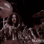 Danava-band-009