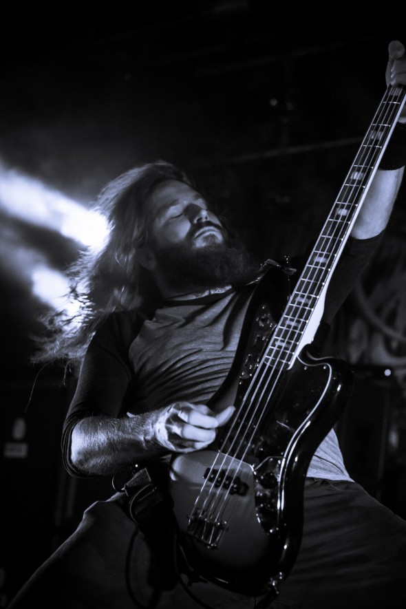 Mastodon