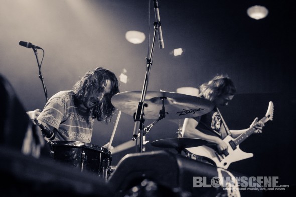 American-Sharks-band-005