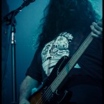 American-Sharks-band-011