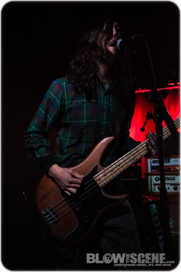 Pale-Shelter-band-011