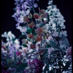 Faith No More-band-016