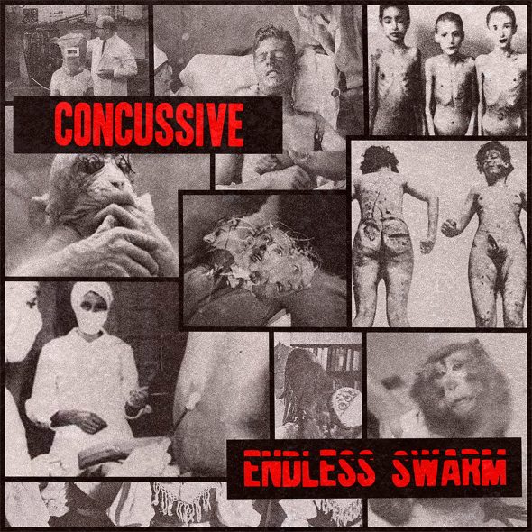 concussive endless swarm