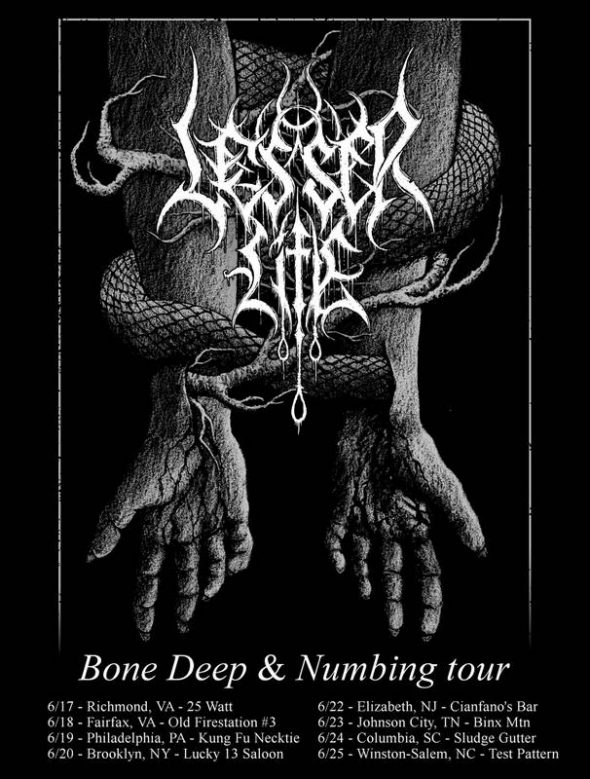 lesser life tour