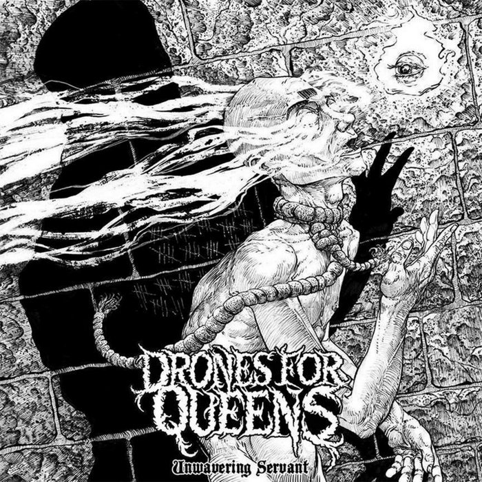 drones for queens