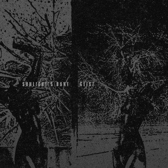 sunlights bane geist split