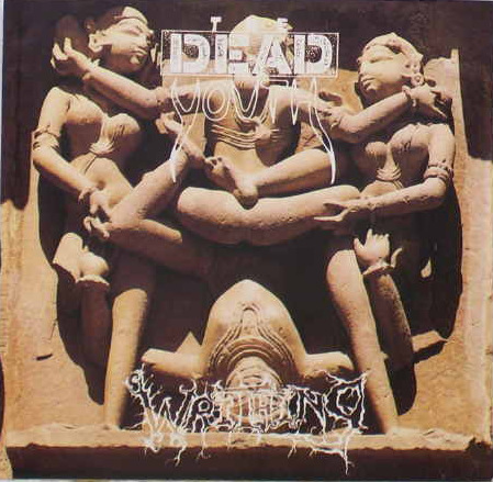 the dead youth writhing cover